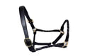 Bridleberry #1 Halter
