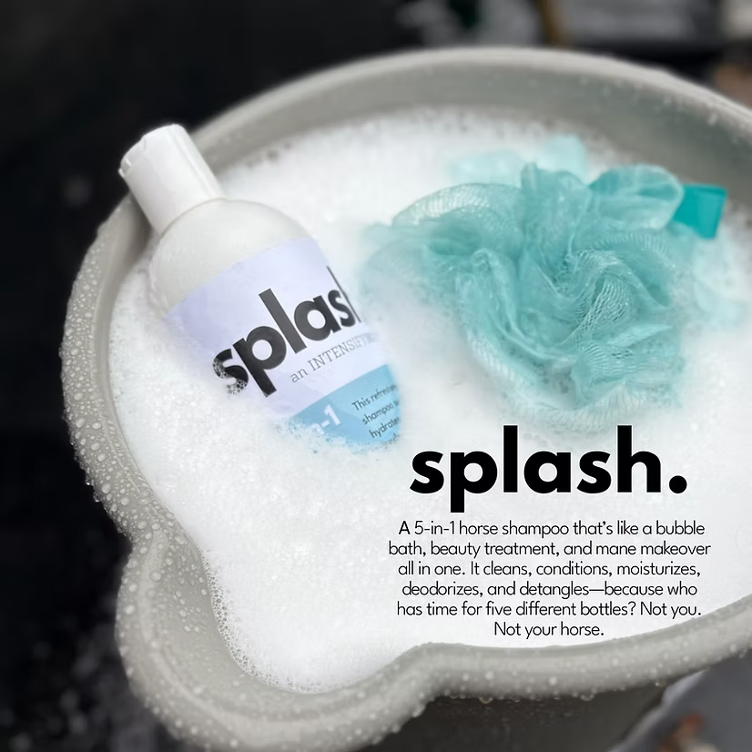 Infused Equestrian Splash