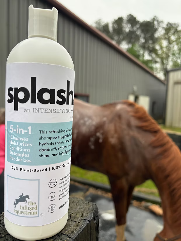 Infused Equestrian Splash
